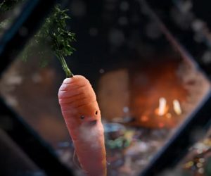 Aldi Christmas 2016 - Kevin The Carrot