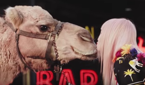 Kate Spade New York Commercial - Camel Kiss