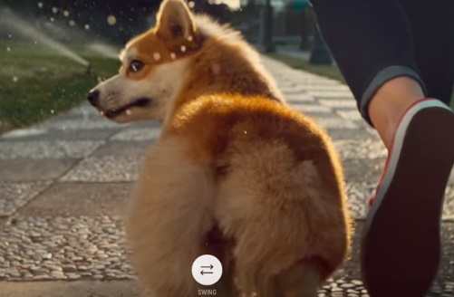 Dog in Samsung Galaxy S9 Commercial