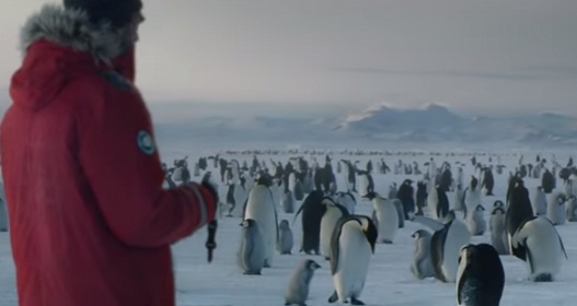 Samsung Galaxy Christmas Commercial - Man Among Penguins