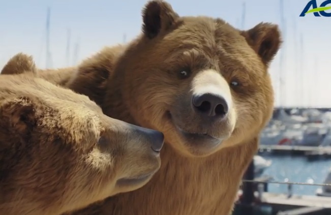 AG Insurance Commercial / Advert - Couple of Bears