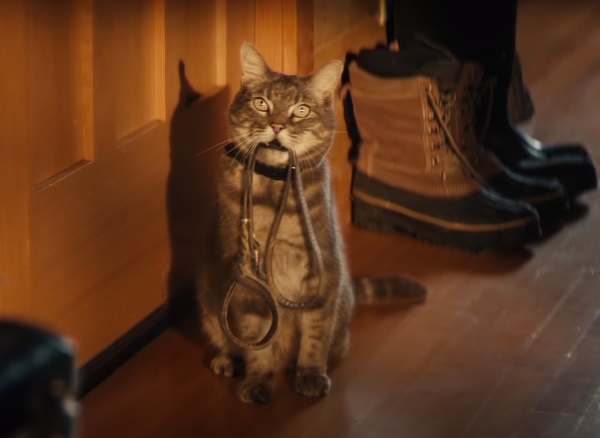 Chevy Silverado Walter Commercial - Feat. Cat Acting Like a Dog
