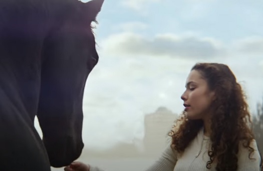 Lloyds Bank Black Horse & Curly Girl Advert