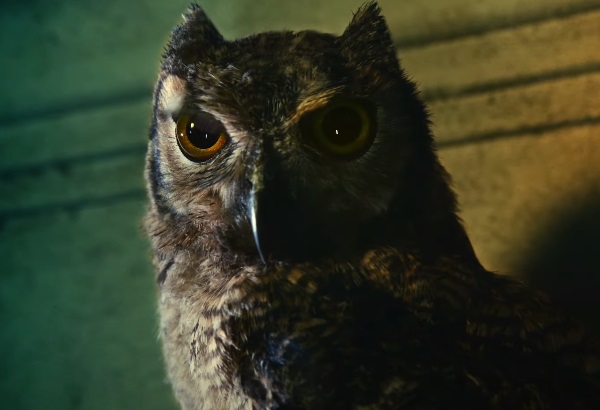 Samsung Galaxy Watch4 and Galaxy Buds2 Night Owls Commercial