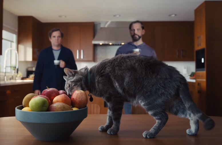 Progressive Replay Cat Commercial